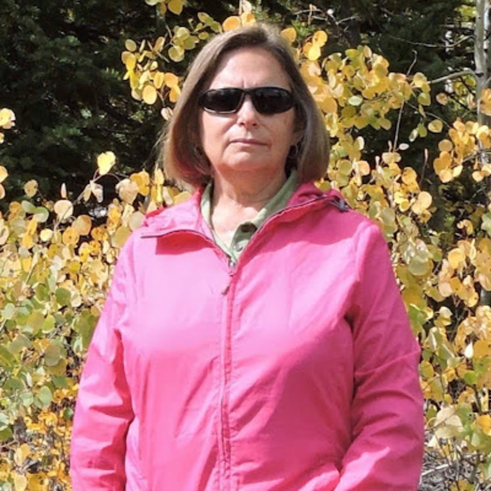 Meet your Posher, Sue